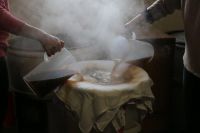 IMG_3252.jpg