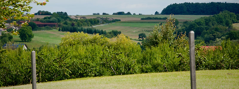Landschaft Steigerwald Haus Anni