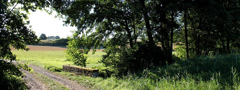 Landschaft Steigerwald Haus Anni