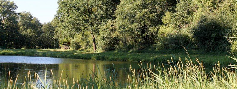 Landschaft Steigerwald Haus Anni